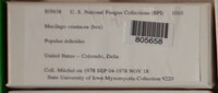 Image Associated With the Occurence